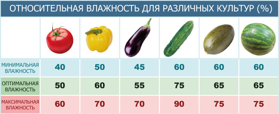 Влажность в теплице для огурцов и помидор таблица.jpg